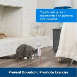 PetSafe Bolt Interactive Laser Cat Toy -Mewhaus Shop 70843 PT5. AC SS1800 V1676317808
