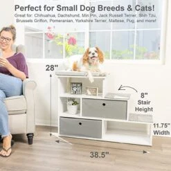 PetFusion Hybrid Cat Bookshelf & 3 Perches, White -Mewhaus Shop 710246 PT5. AC SS1800 V1671724586