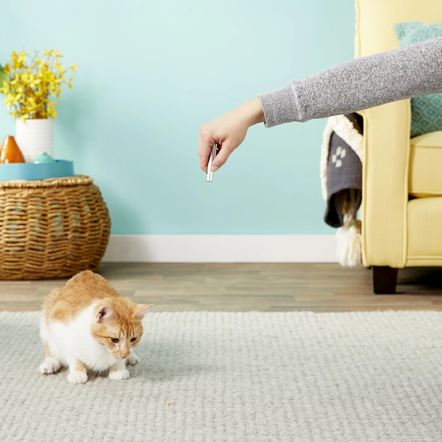 Ethical Pet Laser Exerciser Original 2 In 1 Dog & Cat Toy 6 Ethical Pet Laser Exerciser Original 2 In 1 Dog & Cat Toy - Image 6