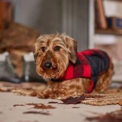 Frisco Reversible Medium Weight Boulder Plaid Dog & Cat Coat -Mewhaus Shop 717846 PT7. AC SS1800 V1692375977