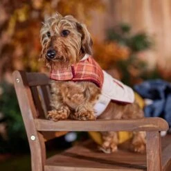 Frisco Medium Weight Fall Plaid Dog & Cat Coat -Mewhaus Shop 717942 PT7. AC SS1800 V1692378457