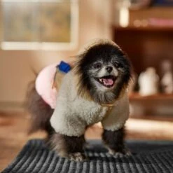 Frisco Colorblock Fleece Dog & Cat Hoodie W/ Pocket -Mewhaus Shop 718278 PT7. AC SS1800 V1692375977