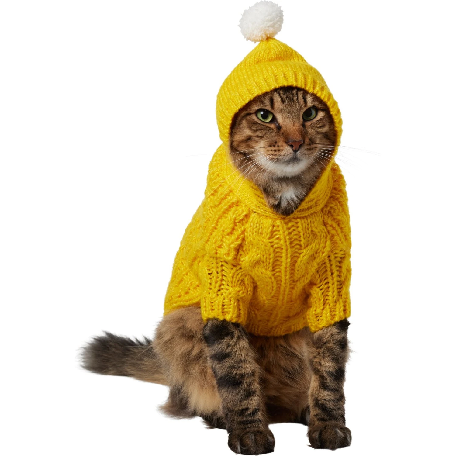 Frisco Sherpa Lined Chunky Cable Knit Dog & Cat Hooded Sweater 1 Frisco Sherpa Lined Chunky Cable Knit Dog & Cat Hooded Sweater