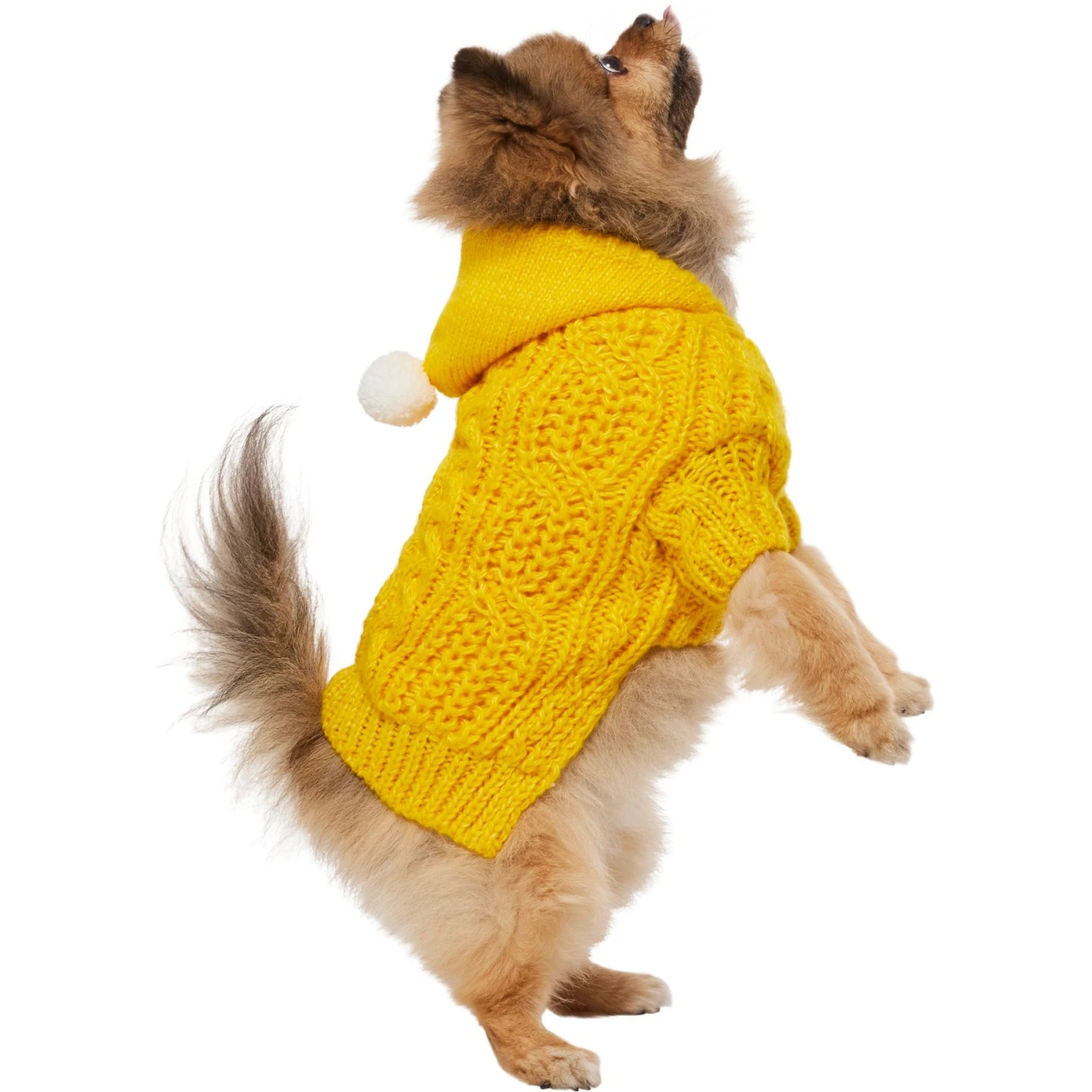 Frisco Sherpa Lined Chunky Cable Knit Dog & Cat Hooded Sweater 3 Frisco Sherpa Lined Chunky Cable Knit Dog & Cat Hooded Sweater - Image 3