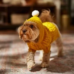 Frisco Sherpa Lined Chunky Cable Knit Dog & Cat Hooded Sweater 14 Frisco Sherpa Lined Chunky Cable Knit Dog & Cat Hooded Sweater -Mewhaus Shop 718374 PT7. AC SS1800 V1692379031