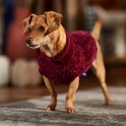 Frisco Cozy Textured Chenille Dog & Cat Sweater -Mewhaus Shop 718614 PT7. AC SS1800 V1692378337
