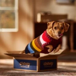 Frisco Chunky Knit Multi-Stripe Dog & Cat Sweater -Mewhaus Shop 718662 PT7. AC SS1800 V1692378219