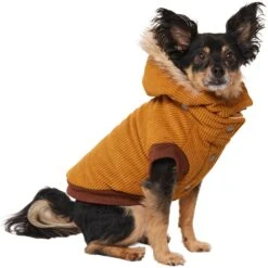 Frisco Heavy Weight Lux Corduroy Insulated Dog & Cat Coat With Fur Trimmed Hood -Mewhaus Shop 719966 PT2. AC SS1800 V1703184628