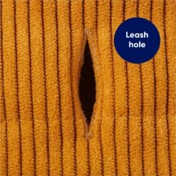 Frisco Heavy Weight Lux Corduroy Insulated Dog & Cat Coat With Fur Trimmed Hood -Mewhaus Shop 719966 PT6. AC SS1800 V1692192438