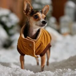 Frisco Heavy Weight Lux Corduroy Insulated Dog & Cat Coat With Fur Trimmed Hood -Mewhaus Shop 719966 PT7. AC SS1800 V1692377819