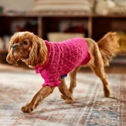 Frisco Ruffle Knit Pointelle Dog & Cat Turtleneck Sweater -Mewhaus Shop 720646 PT7. AC SS1800 V1692379033