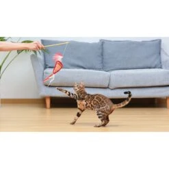 Fetch For Pets Friends Joey Loves Food Wand Cat Toy With Catnip -Mewhaus Shop 729214 PT4. AC SS1800 V1682628495