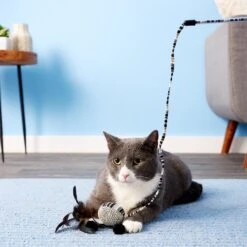 JW Pet Cataction Ball With Wand Cat Toy 9 JW Pet Cataction Ball With Wand Cat Toy -Mewhaus Shop 73759 PT5. AC SS1800 V1525719222