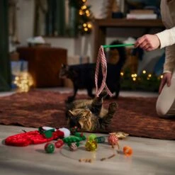 Frisco Holiday Cozy Christmas Sack Variety Pack Cat Toy With Catnip -Mewhaus Shop 740054 PT3. AC SS1800 V1694812461