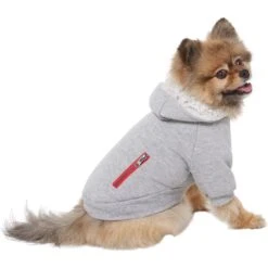 Frisco Sweatshirt Fleece Dog & Cat Hoodie With Sherpa Lining -Mewhaus Shop 742550 PT2. AC SS1800 V1703194378