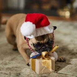 Frisco Chunky Knit Santa Dog & Cat Hat 12 Frisco Chunky Knit Santa Dog & Cat Hat -Mewhaus Shop 744878 PT5. AC SS1800 V1694793814