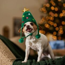 Frisco Christmas Tree Faux Fur Dog & Cat Hat 12 Frisco Christmas Tree Faux Fur Dog & Cat Hat -Mewhaus Shop 745582 PT5. AC SS1800 V1694793444