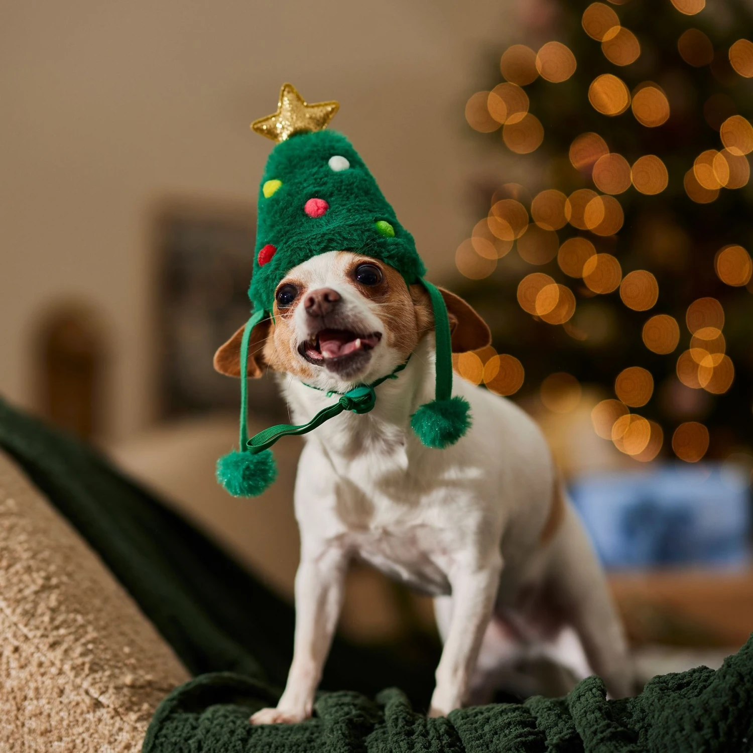 Frisco Christmas Tree Faux Fur Dog & Cat Hat 6 Frisco Christmas Tree Faux Fur Dog & Cat Hat - Image 6