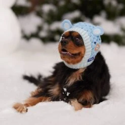 Frisco Nordic Ears Sweater Knit Dog & Cat Hat -Mewhaus Shop 745710 PT5. AC SS1800 V1695671059