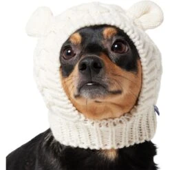 Frisco Polar Bear Sweater Knit Dog & Cat Hat -Mewhaus Shop 745742 PT2. AC SS1800 V1694793756