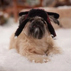 Frisco Tartan Plaid Dog & Cat Trapper Hat -Mewhaus Shop 746750 PT5. AC SS1800 V1694800749