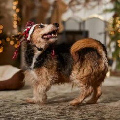 Frisco Nordic Pawprint Dog & Cat Hat 12 Frisco Nordic Pawprint Dog & Cat Hat -Mewhaus Shop 746782 PT5. AC SS1800 V1694799891