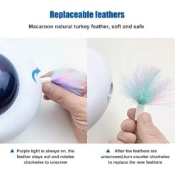 Shele UFO Interactive Cat Toy, White, Small -Mewhaus Shop 771318 PT6. AC SS1800 V1676063312