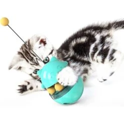 Shele Tumbler Interactive Cat Toy, Turquoise -Mewhaus Shop 771334 PT7. AC SS1800 V1676052574