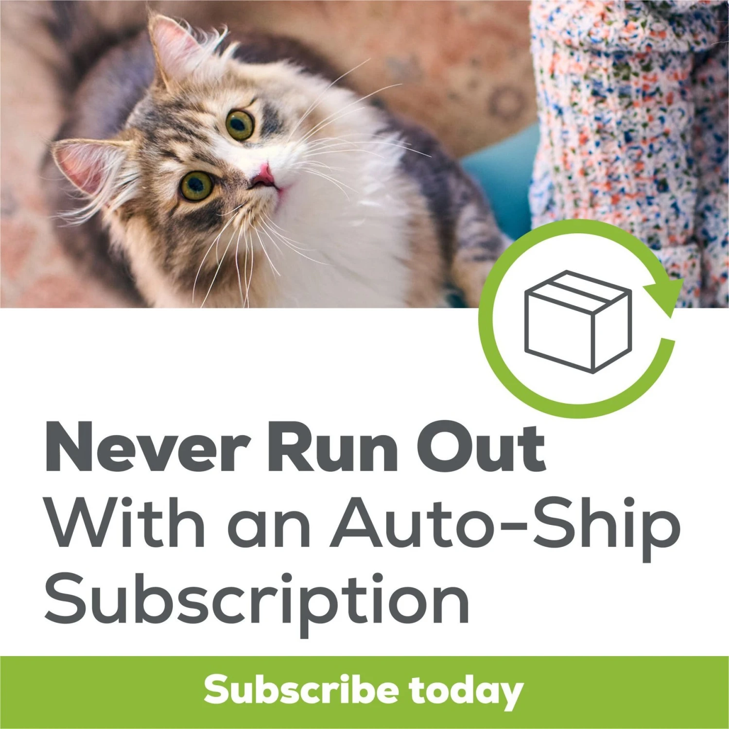 Tidy Cats Breeze Litter System Cat Pads 9 Tidy Cats Breeze Litter System Cat Pads - Image 9