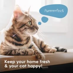 Litter Genie Plus Cat Litter Disposal System -Mewhaus Shop 780782 PT3. AC SS1800 V1684609649