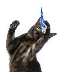 Honest Pet Products Eco Kitty Catcher Fishpole Cat Toy -Mewhaus Shop 797214 PT5. AC SS1800 V1690574363