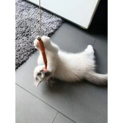 Honest Pet Products Eco Kitty Catcher Fishpole Cat Toy -Mewhaus Shop 797214 PT7. AC SS1800 V1690574289