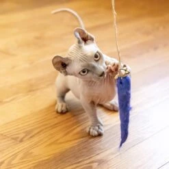 Honest Pet Products Eco Kitty Catcher Fishpole Cat Toy -Mewhaus Shop 797214 PT8. AC SS1800 V1690814211