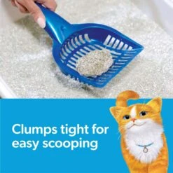 Fresh Step Lightweight Febreze Scented Clumping Clay Cat Litter 13 Fresh Step Lightweight Febreze Scented Clumping Clay Cat Litter -Mewhaus Shop 80336 PT4. AC SS1800 V1694464765