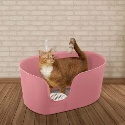 Richell PAW TRAX High Wall Cat Litter Box, X-Large -Mewhaus Shop 805006 PT3. AC SS1800 V1678913083