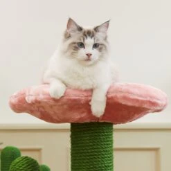 VETRESKA Blooming Cactus 41-in Cat Tree 17 VETRESKA Blooming Cactus 41-in Cat Tree -Mewhaus Shop 805102 PT8. AC SS1800 V1680527837