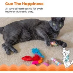 Catstages Kitty Sweet Treats Plush Catnip Cat Toys, Multicolor, 6 Count -Mewhaus Shop 837462 PT3. AC SS1800 V1681836212