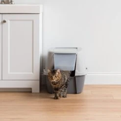 IRIS USA Enclosed Cat Litter Box With Front Door Flap & Scoop, Gray, Jumbo 11 IRIS USA Enclosed Cat Litter Box With Front Door Flap & Scoop, Gray, Jumbo -Mewhaus Shop 846614 PT2. AC SS1800 V1683834899