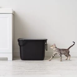 IRIS USA Square Top Entry Cat Litter Box With Scoop, Large -Mewhaus Shop 846630 PT2. AC SS1800 V1683835901