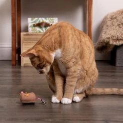 SmartyKat Instincts Meandering Mouse Motion Battery Powered Plush Cat Toy -Mewhaus Shop 847062 PT2. AC SS1800 V1683730244