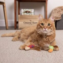 SmartyKat Instincts Love Mates Feathery Plush HappyNip Silvervine & Catnip Bird Cat Toys, 2-pack -Mewhaus Shop 847110 PT2. AC SS1800 V1683729344