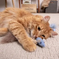 SmartyKat Instincts Catnip Caravan HappyNip Silvervine Toss & Bat Plush Mice Cat Toys, 3-pack -Mewhaus Shop 847190 PT2. AC SS1800 V1683729410