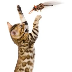 SmartyKat Instincts Safari Sneakers HappyNip Silvervine & Catnip Plush Cat Toys & Launcher Cat Toy, 3-pack & 1 Count -Mewhaus Shop 847206 PT5. AC SS1800 V1683728375