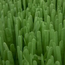 SmartyKat Instincts Meadow Mayhem Paper Grass Hide & Seek Cat Toy, 2-pack -Mewhaus Shop 847238 PT6. AC SS1800 V1683728572