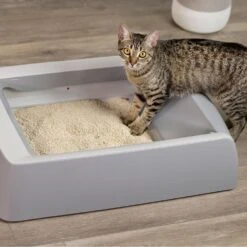 O.R.I./GRAYSTONE NATURAL Granular Tofu Cat Litter For Automatic Self-Cleaning Litter Box Robots, 4.5-lb Refill Bag -Mewhaus Shop 867366 PT3. AC SS1800 V1687887273