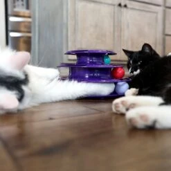 Quirky Kitty Three Layer Ball Track Cat Toy -Mewhaus Shop 900102 PT4. AC SS1800 V1689010871