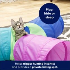 Frisco Foldable Play Tri-Tunnel Cat Toy & Frisco Butterfly Cat Tracks Cat Toy -Mewhaus Shop 933438 PT4. AC SS1800 V1692305507