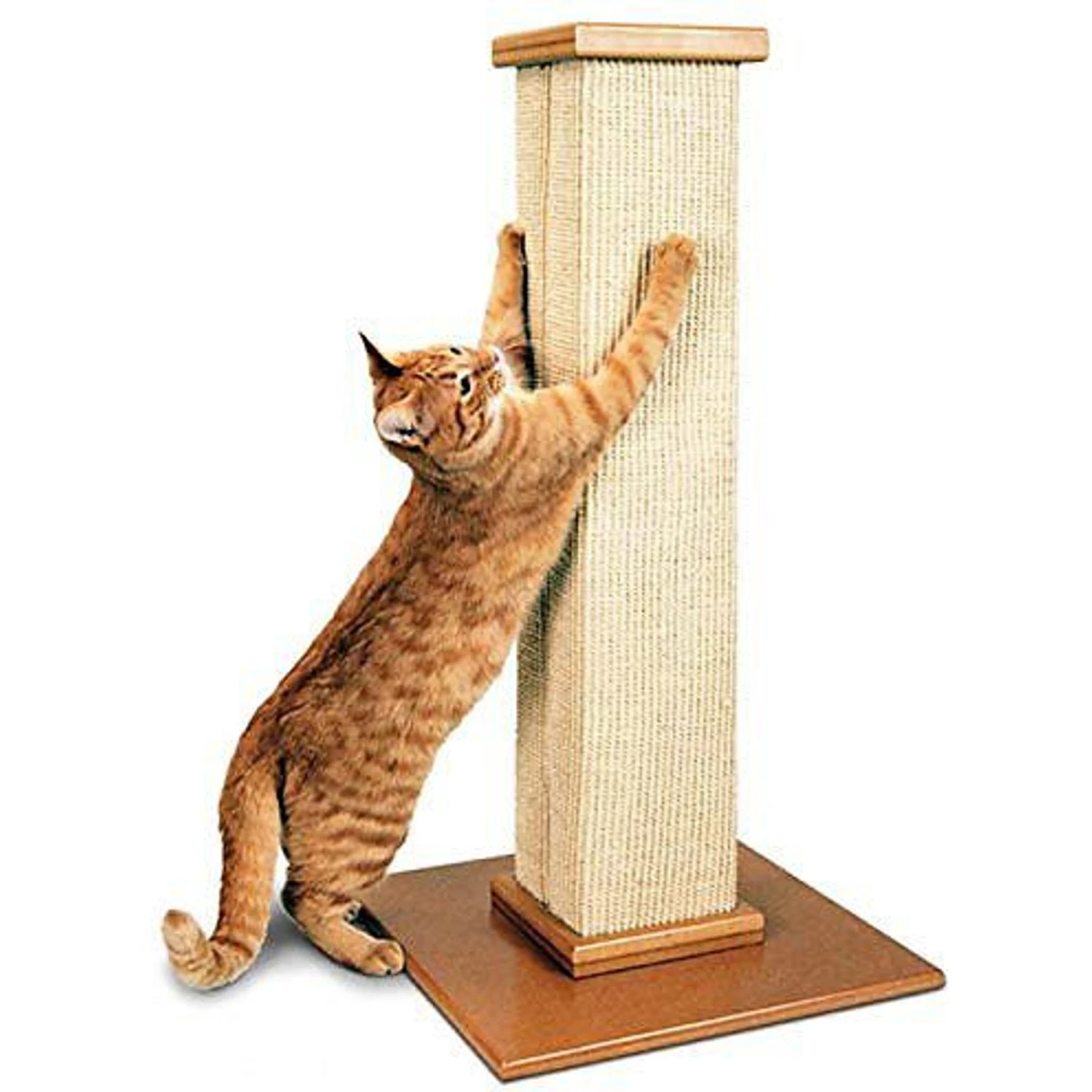 SmartCat The Ultimate 32-in Sisal Cat Scratching Post & SmartCat Bootsie's Combination Scratcher 2 SmartCat The Ultimate 32-in Sisal Cat Scratching Post & SmartCat Bootsie's Combination Scratcher - Image 2