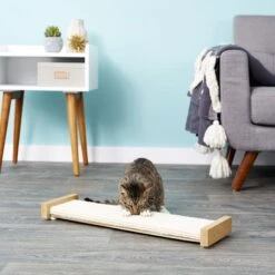 SmartCat The Ultimate 32-in Sisal Cat Scratching Post & SmartCat Bootsie's Combination Scratcher 17 SmartCat The Ultimate 32-in Sisal Cat Scratching Post & SmartCat Bootsie's Combination Scratcher -Mewhaus Shop 933614 PT8. AC SS1800 V1692304039
