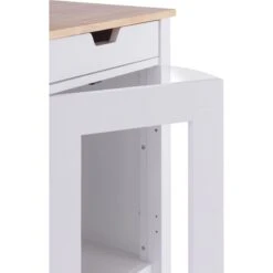 TRINITY 20-in Enclosure End Table With Drawer Cat Litter Box, White, Small 17 TRINITY 20-in Enclosure End Table With Drawer Cat Litter Box, White, Small -Mewhaus Shop 940742 PT8. AC SS1800 V1692302264